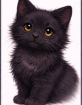 Black Kitten Wall Art